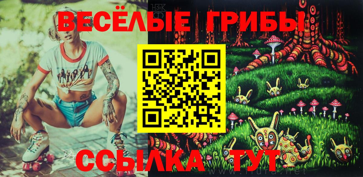 Псилоцибиновые грибы GOLDEN TEACHER Лениногорск