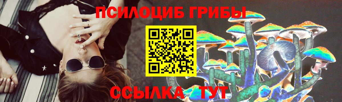 Псилоцибиновые грибы Psilocybe  Псилоцибиновые грибы мицелий  хочу наркоту  Лениногорск  Вход с VPN 